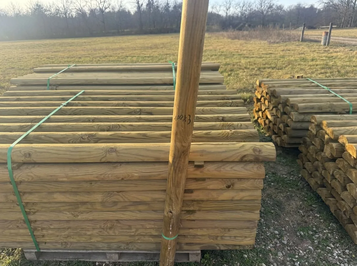 openart-image_1774944419646_30d8abaa_1774944419669_f1539f90